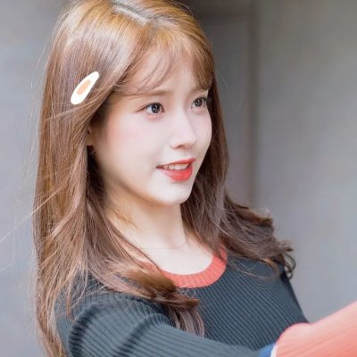 山菊花